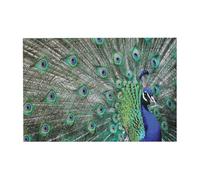 Puzzle da 300 pezzi con pavone che mostra piume e ali aperte per adulti - Puzzle in legno per adulti e anziani