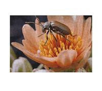 Puzzle da 300 pezzi di creature raccapriccianti puzzle personalizzati in legno per adulti foto puzzle arte appeso alla parete decorazione per compleanno, matrimonio, San Valentino, anniversario