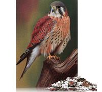 Puzzle da 500 pezzi American Kestrel Falcon Puzzle per adulti Puzzle in legno Regali di Natale Puzzle da 500 pezzi (52x38 cm)