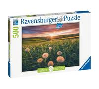 Puzzle da 500 pezzi - Dente di leone al crepuscolo per un momento di relax - Nouvo