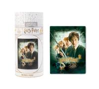 Grupo Erik: Puzzle Harry Potter e La Camera dei Segreti | Puzzle 500 pezzi con scatola decorativa + mini poster, 61 x 45,7 cm, Harry Potter puzzle, Harry Potter gadget