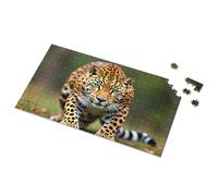 Puzzle da 500 pezzi Leopard in the wild: A Majestic Stroll Picture Puzzle 500 pezzi (1000 pezzi)