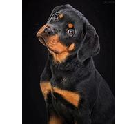 Puzzle da 500 pezzi per adulti a forma di cane Rottweiler, simpatici cuccioli di famiglia, genitori e figli, puzzle divertente