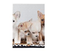 Puzzle da 500 pezzi per adulti, famiglie, gioco di puzzle per tutti, puzzle impegnativi,4 cuccioli di Chihuahua