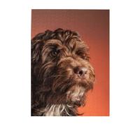 Puzzle da 500 pezzi per adulti, famiglie, gioco di puzzle per tutti, puzzle impegnativi,Adorabile cane Cockapoo