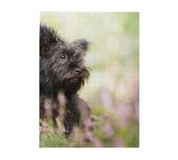 Puzzle da 500 pezzi per adulti, famiglie, gioco di puzzle per tutti, puzzle impegnativi,Affenpinscher Lawn Black Dogs Monkey Terrier