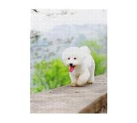 Puzzle da 500 pezzi per adulti, famiglie, gioco di puzzle per tutti, puzzle impegnativi,Bichon Frise Park Animali domestici Cani Bichon Frise Cani
