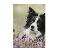 Puzzle da 500 pezzi per adulti, famiglie, gioco di puzzle per tutti, puzzle impegnativi,Border Collie Lawn Border Collie Nero Animali domestici