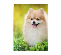Puzzle da 500 pezzi per adulti, famiglie, gioco di puzzle per tutti, puzzle impegnativi,Cucciolo di cane carino nel parco primaverile