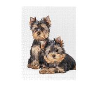 Puzzle da 500 pezzi per adulti, famiglie, gioco di puzzle per tutti, puzzle impegnativi,Due cuccioli di Yorkshire Terrier
