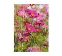Puzzle da 500 pezzi per adulti, famiglie, gioco di puzzle per tutti, puzzle impegnativi,Fiori rosa primaverili stampati