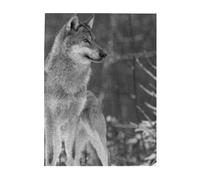 Puzzle da 500 pezzi per adulti, famiglie, gioco di puzzle per tutti, puzzle impegnativi,Lupo selvaggio stampato