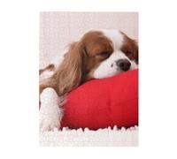 Puzzle da 500 pezzi per adulti, famiglie, gioco di puzzle per tutti, puzzle impegnativi,Modello Cavalier King Charles Spaniel
