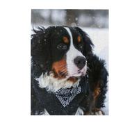 Puzzle da 500 pezzi per adulti, famiglie, gioco di puzzle per tutti, puzzle impegnativi,Nevicata del cane da montagna bernese