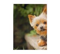 Puzzle da 500 pezzi per adulti, famiglie, gioco di puzzle per tutti, puzzle impegnativi,Yorkshire Terrier Bokeh Cani Carini Muro