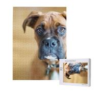 Puzzle da 500 pezzi, puzzle in legno, gioco di famiglia per adulti e adolescenti,Boxer Cani Cuccioli Animali Domestici Cani