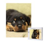 Puzzle da 500 pezzi, puzzle in legno, gioco di famiglia per adulti e adolescenti,Cani Rottweiler Cani carini Cuccioli Animali domestici Piccoli