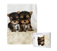 Puzzle da 500 pezzi, puzzle in legno, gioco di famiglia per adulti e adolescenti,Cuccioli di Yorkshire Terrier Cani carini Gemelli Yorkie
