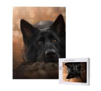 Puzzle da 500 pezzi, puzzle in legno, gioco di famiglia per adulti e adolescenti,Pastore tedesco nero Bokeh autunno tedesco