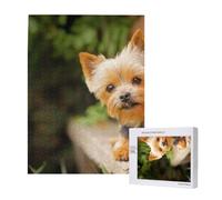 Puzzle da 500 pezzi, puzzle in legno, gioco di famiglia per adulti e adolescenti,Yorkshire Terrier Bokeh Cani Carini Muro