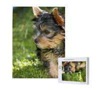 Puzzle da 500 pezzi, puzzle in legno, gioco di famiglia per adulti e adolescenti,Yorkshire Terrier Erba Verde Cani Carini