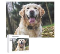 Puzzle da 520 pezzi per adulti Cool Funny Golden Retriever Puzzle Grandi Puzzle Gioco Decompressione Tempo Libero Intrattenimento Puzzle in legno Relax Giocattoli sensoriali Decorazione della stanza