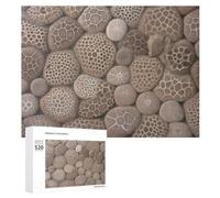 Puzzle da 520 pezzi per adulti Cool Petoskey Stone Puzzle di grandi dimensioni gioco decompressione tempo libero intrattenimento puzzle in legno rilassamento giocattoli sensoriali decorazione della