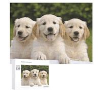 Puzzle da 520 pezzi per adulti, fantastici cuccioli Golden Retriever, grandi puzzle, gioco, decompressione, tempo libero, intrattenimento, puzzle in legno, relax, giocattoli sensoriali, decorazione