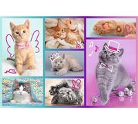 Puzzle da 60 pezzi - teneri gattini TREFL