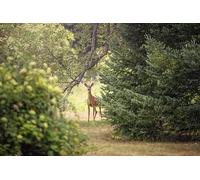 Puzzle da 6000 pezzi: sfide impossibili, gioco rompicapo da interni per adulti (14 anni+)