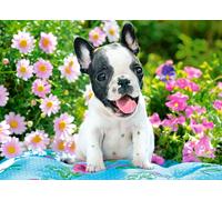 Puzzle da 70 pezzi - cucciolo di bulldog francese