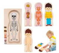 Puzzle del corpo umano - Giocattolo didattico di anatomia per bambini 4 | Puzzle in legno di anatomia del corpo umano per bambini, multistrato di riconoscimento di e ossa per ragazzi e r