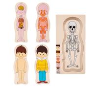 Puzzle del corpo umano - modello | educativo anatomico in legno interattivi e portatili per l'apprendimento delle parti, bambini piccoli,