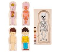 Puzzle del corpo umano per bambini, Puzzle della struttura del corpo umano - Puzzle educativo di anatomia - Puzzle di anatomia interattivo ed educativo - Impara i puzzle educativi di anatomia umana su
