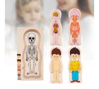Puzzle del corpo umano, puzzle delle parti del corpo, aiuta i bambini a imparare