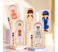 Puzzle del corpo umano, puzzle delle parti del corpo, aiuta i bambini a imparare