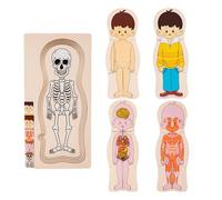 Puzzle della struttura del corpo umano, puzzle in legno del corpo umano | Puzzle educativi del corpo di anatomia umana | Puzzle di anatomia per l'apprendimento dei giocattoli dello scheletro,