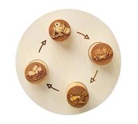 Puzzle d'évolution des animaux éducatif Puzzle d'animaux Jeu d'apprentissage de l'évolution Animal Pour de biologie Pour du Cycle de Vie des animaux d'appre