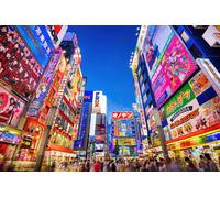 Puzzle Di 1000 Pezzi Di Akihabara In Giappone Per Adulti E Bambini