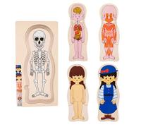 Puzzle Di Anatomia - Set Di Puzzle Multistrato Da 30 Cm, Puzzlle Educativo E Ossa | Giocattolo Interattivo Per Lo Sviluppo Cognitivo Per Ragazze E Ragazzi Che Imparano In Classe,