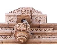 Puzzle di architettura scolpita da 6000 pezzi: sfide impossibili, gioco rompicapo per interni 14 anni+