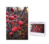 Puzzle di bacche di rosa canina, 1000 pezzi, puzzle personalizzato in legno per adulti, foto puzzle arte da appendere alla parete, decorazione per compleanno, matrimonio, San Valentino, anniversario