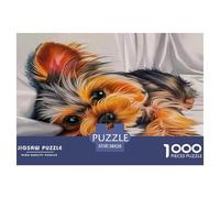 Puzzle di cani carini e stimolanti da 1000 pezzi - Cuccia per cuccioli di Yorkshire terrier, primo piano rilassato per uomini e donne, gioco educativo in carta riciclata, sfida 38x26 cm/1000 pezzi