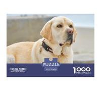 Puzzle di carta riciclata Labrador Retriever: un labrador giallo con un collare sembra fuori posto per adulti dai 14 ai 99 anni, gioco educativo, sfida 70x50 cm/1000 pezzi