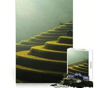 Puzzle di difficile costruzione "Campi di riso Mu Cang Chai Vietnam" per adulti, 1000 pezzi, migliora la memoria, rilassa la mente, bordi netti, elegante regalo (38x52cm)