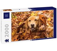 Puzzle di Lais Golden Retriever 2000 Pezzi