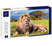 Puzzle di Lais Grande Leone sdraiato sull'erba della Savana. Kenya, Africa 2000 Pezzi