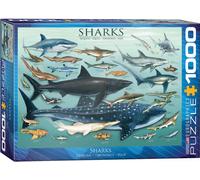 Puzzle Di Pesci Squalo Da 1000 Pezzi Eurographics 680Mm X 480Mm