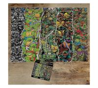 Puzzle Di Rappresentazione Dei Teenage Mutant Ninja Turtles Da 3000 Pezzi