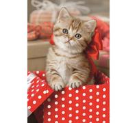 Puzzle di trefl con animali carini: 54 pezzi 1 St
